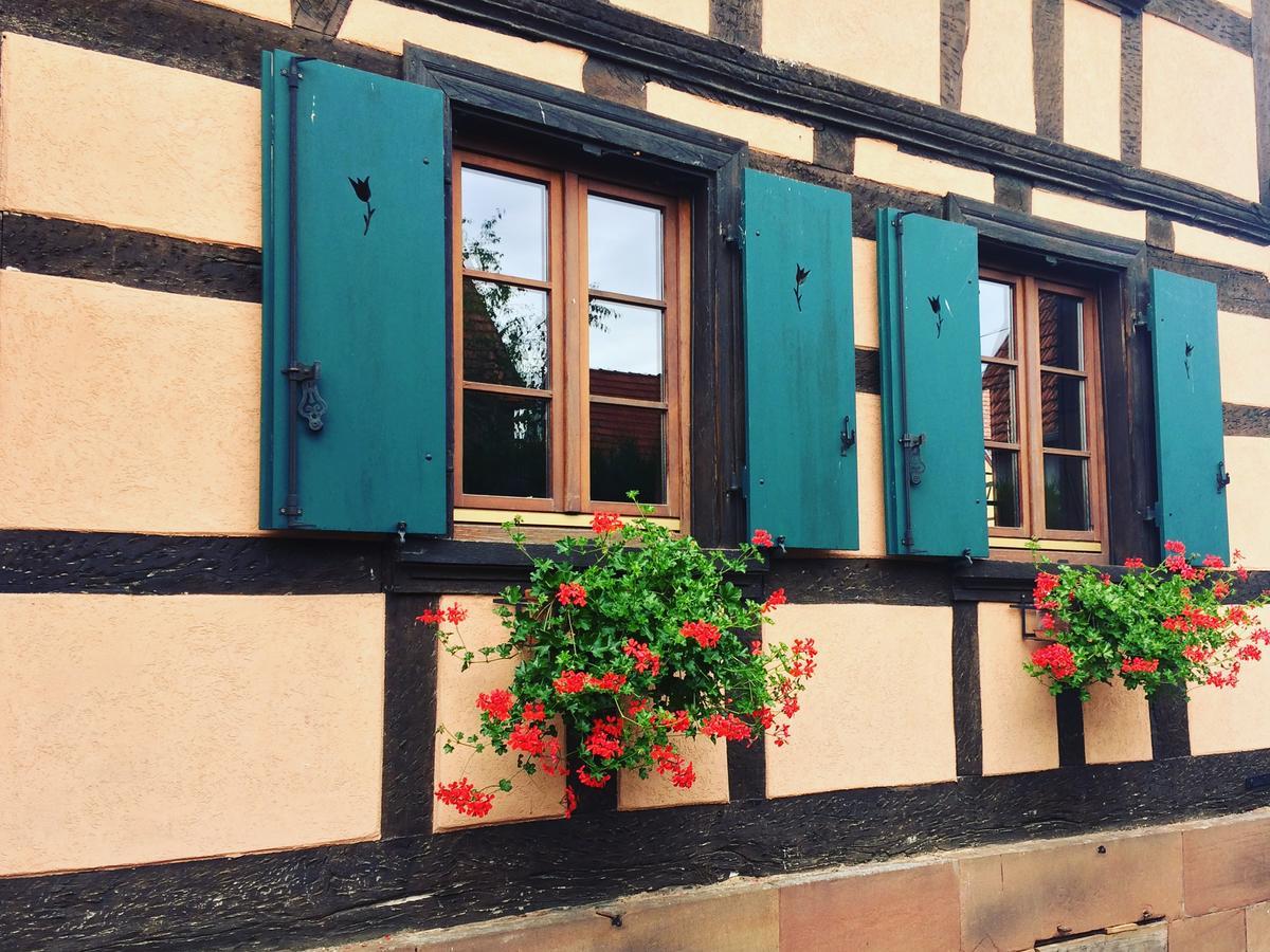 Chambres D'Hotes S'Burehiesel Schillersdorf Eksteriør bilde